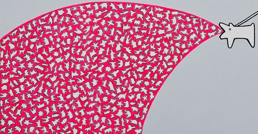 detail1_AdislenReyes860x450px